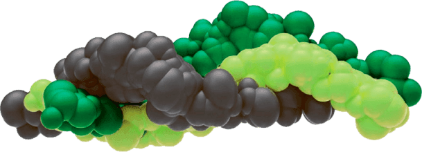 Неденатурований (нативний) колаген II типу