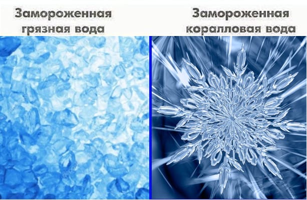Коралова вода 30 саше кораловий кальцій корал Санго Японія Структурування води